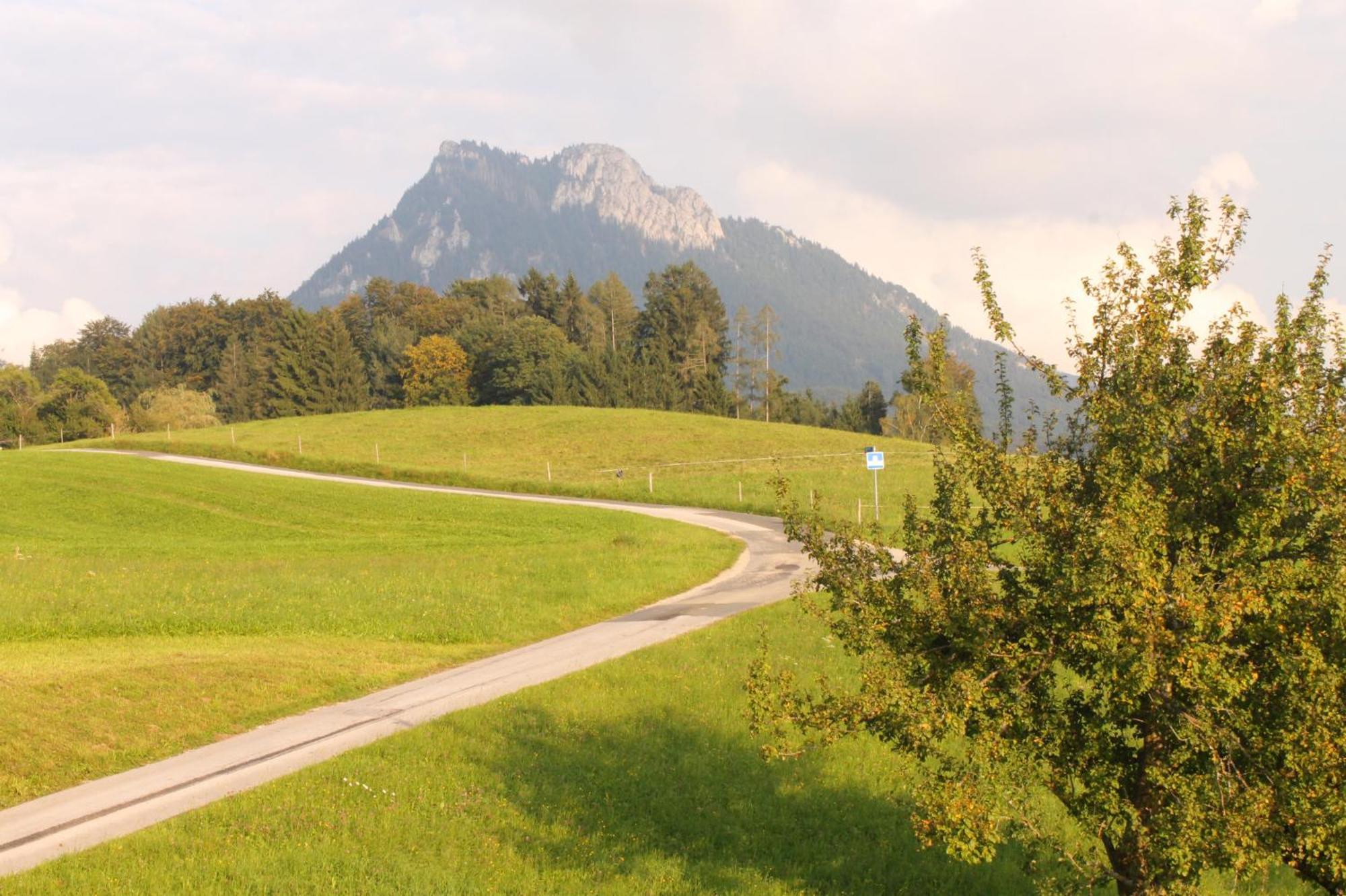 Villa Leitingerhof Thalgau Exterior foto