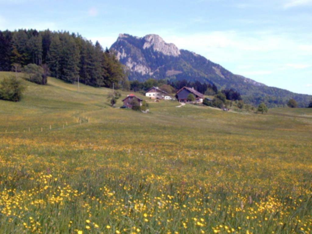Villa Leitingerhof Thalgau Exterior foto
